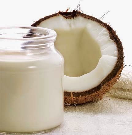 Usaha Santan Rumahan Tanpa Pengawet