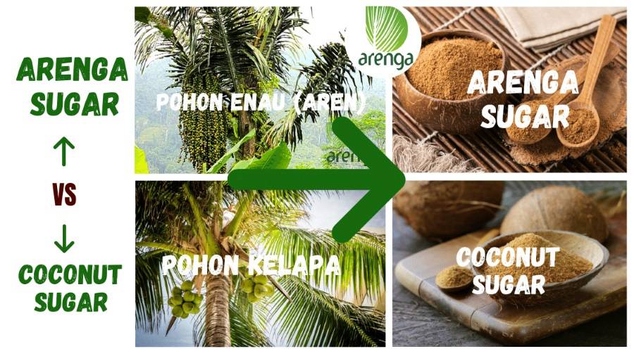 perbedaan gula aren dan gula kelapa