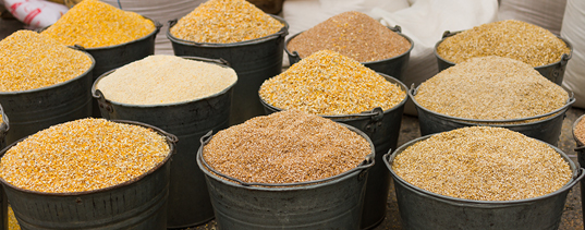 peralatan usaha pakan ternak