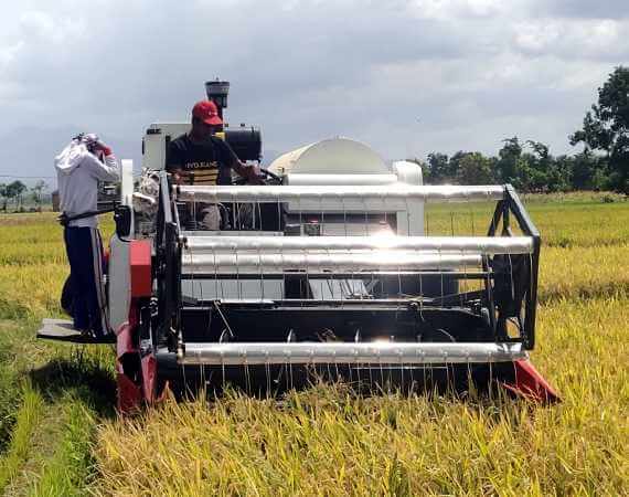Mesin Panen Padi Otomatis Untuk Meningkatkan Efisiensi Pertanian