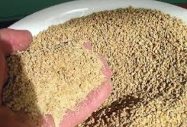 Cara Membuat Pakan Ternak Bergizi Lebih Efisien