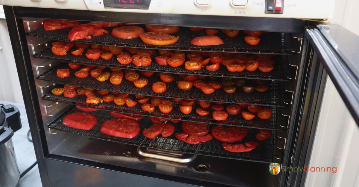 Solusi Jemur Makanan Tanpa Matahari Untuk Produksi Modern