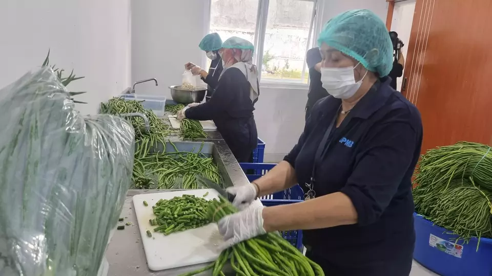 Manajemen Alur Produksi Makanan Bergizi