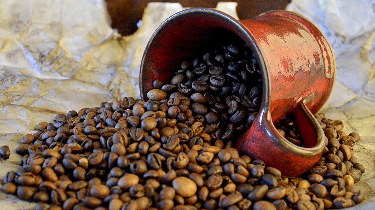 Investasi Alat Pengupas Kopi Untuk Industri Kecil, Wajib Tau!