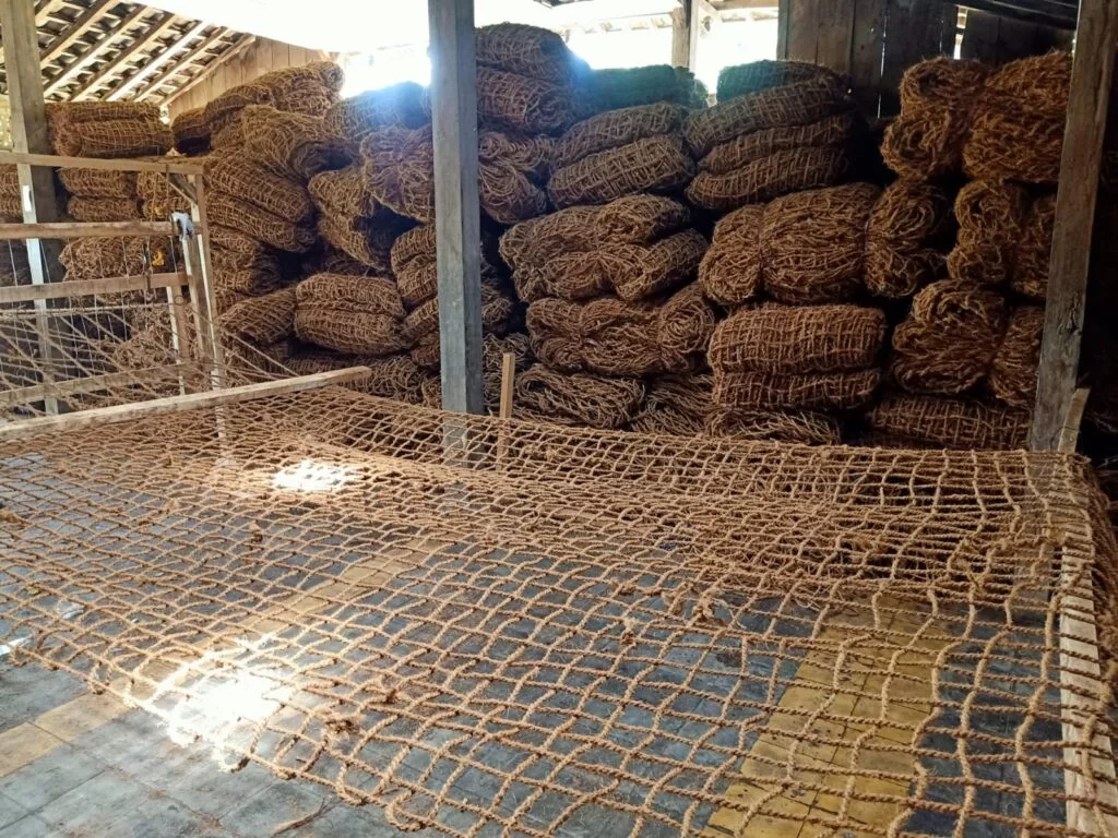 Inovasi Kurikulum Cocomesh Berbasis Penelitian