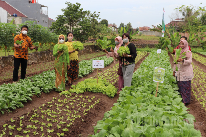 pemberdayaan petani lokal