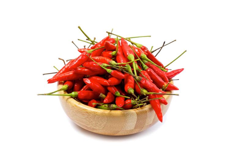 Mesin giling cabai usaha