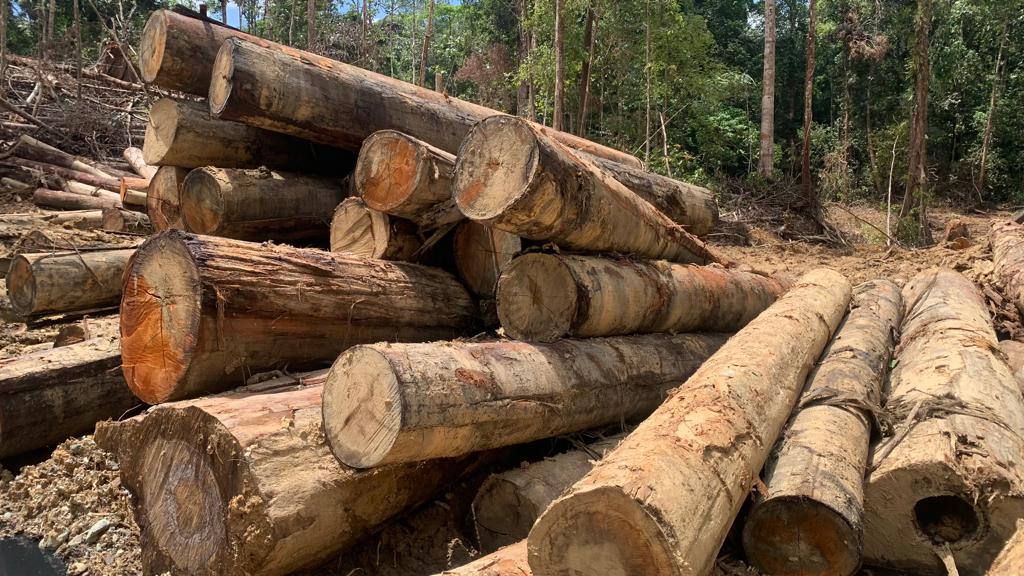 Cara Membentuk Kayu Jadi Bulat Dengan Hasil Rapi