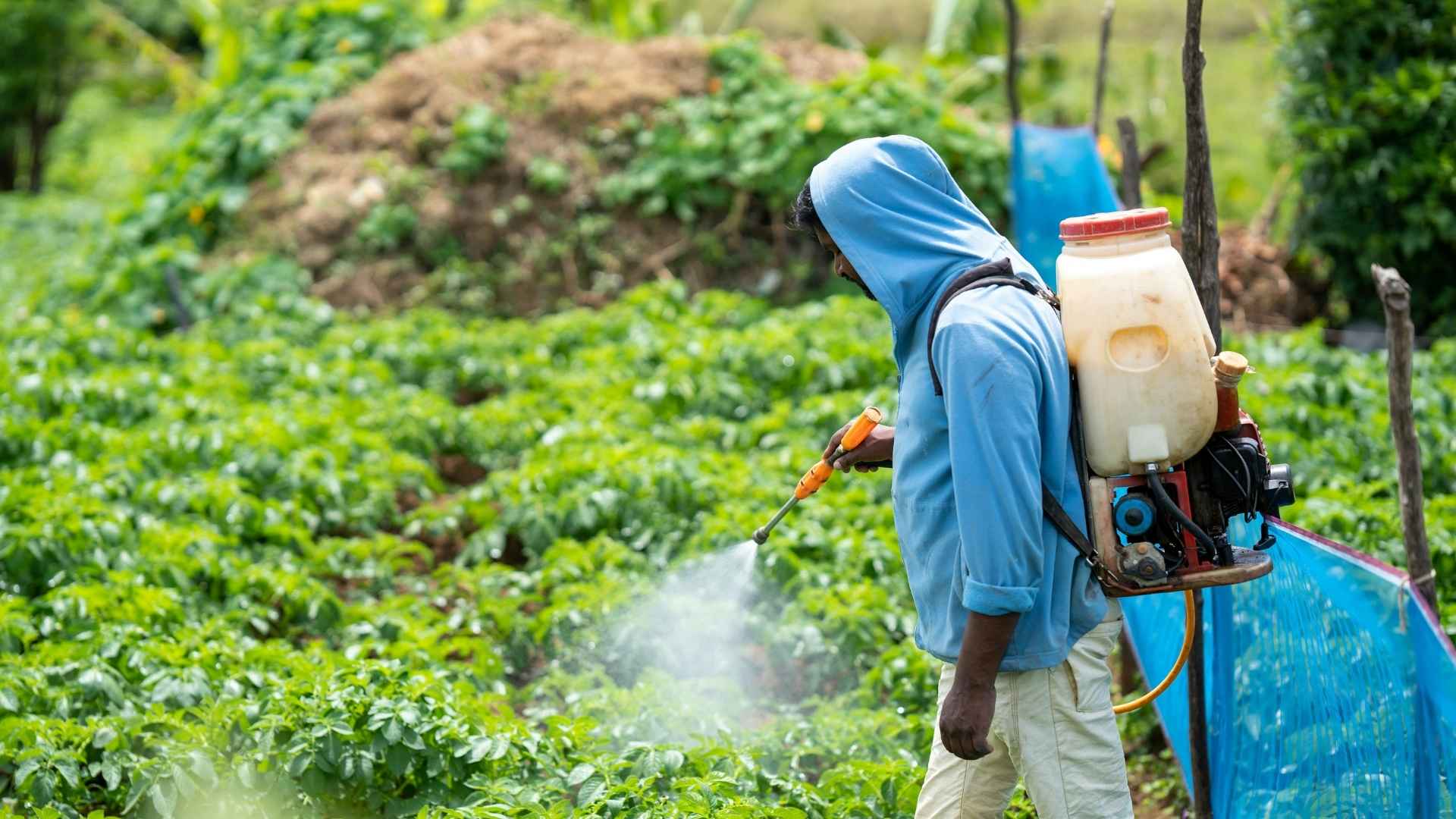 Keuntungan Sprayer Elektrik Untuk Petani Meningkatkan Produk