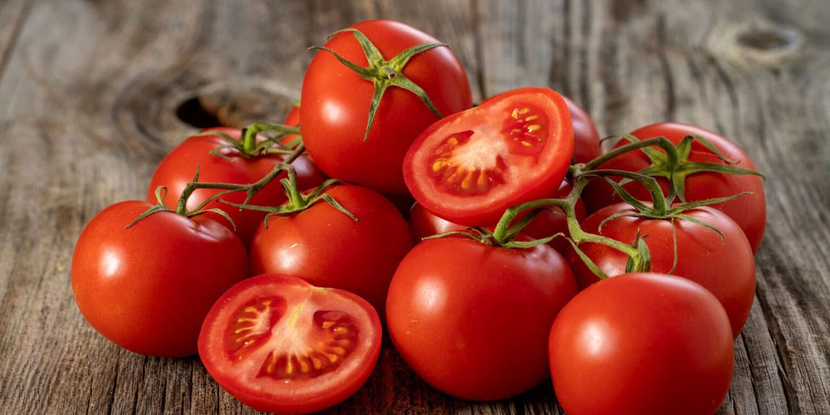 Implementasi Solusi Olah Buah Tanpa Biji Untuk Skala Industri